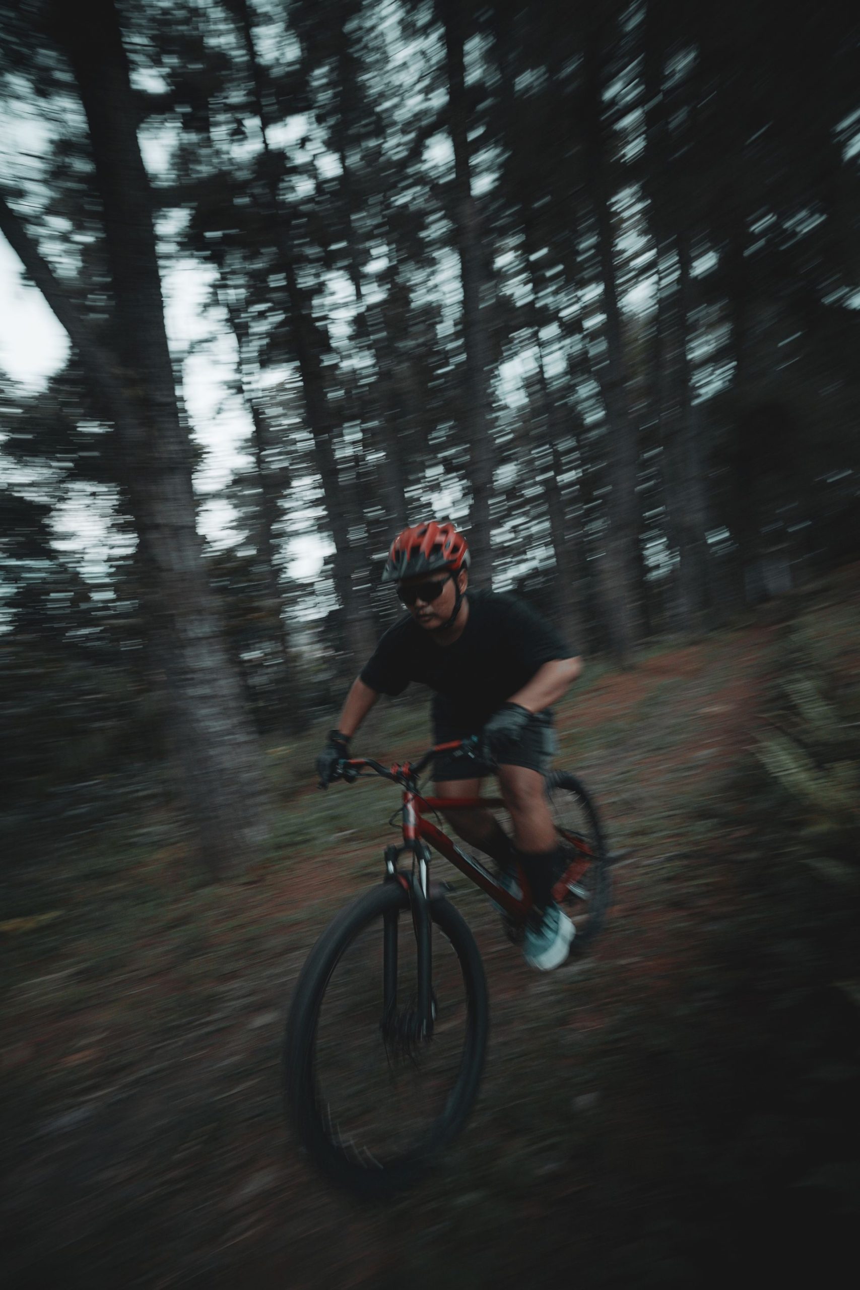 Mountain biker on a wooded trail